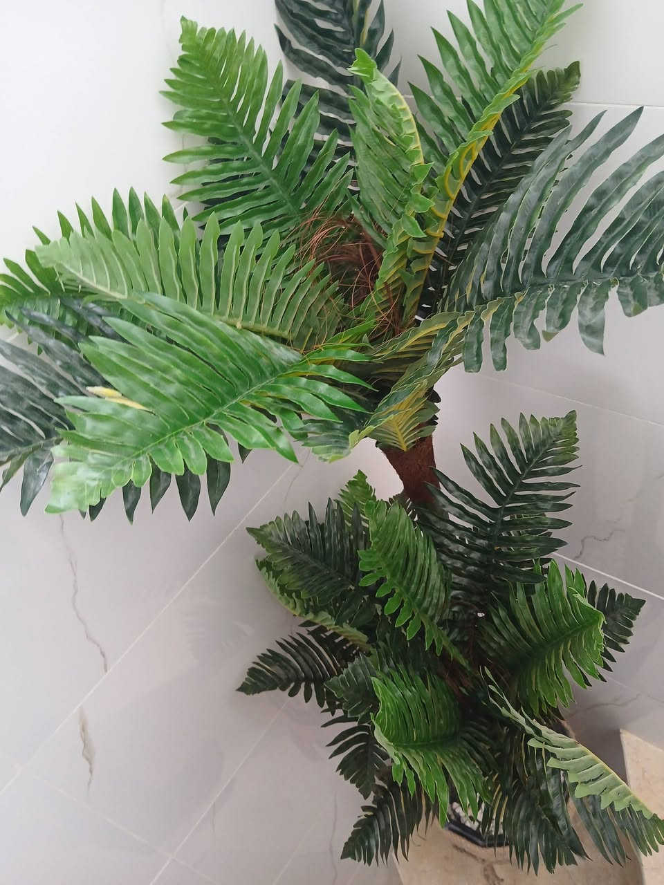 لبيع عدد 2 الوحده سعر35بيه مجال حي السماح الثانيه رقم موبايل  غير متوجد عل وتساب كورك ***********.اسيا واتساب غير متوجد ***********
