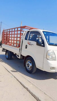 موديل 12 • تحويل مباشر • بغداد