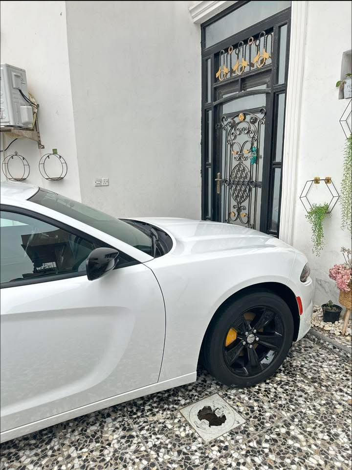 تخم ويل وتاير sxt حجم 18 مكفول عواج وتصليح  وتاير بي بحيره جدد  سعر 600 الف وبي مجال بسيط عنوان حله مركز توصيل متوفر


**إذا كنت صاحب هذا الإعلان وتريد حذفه لأي سبب، رجاءا أرسل رسالة إلى الدعم الفني**
