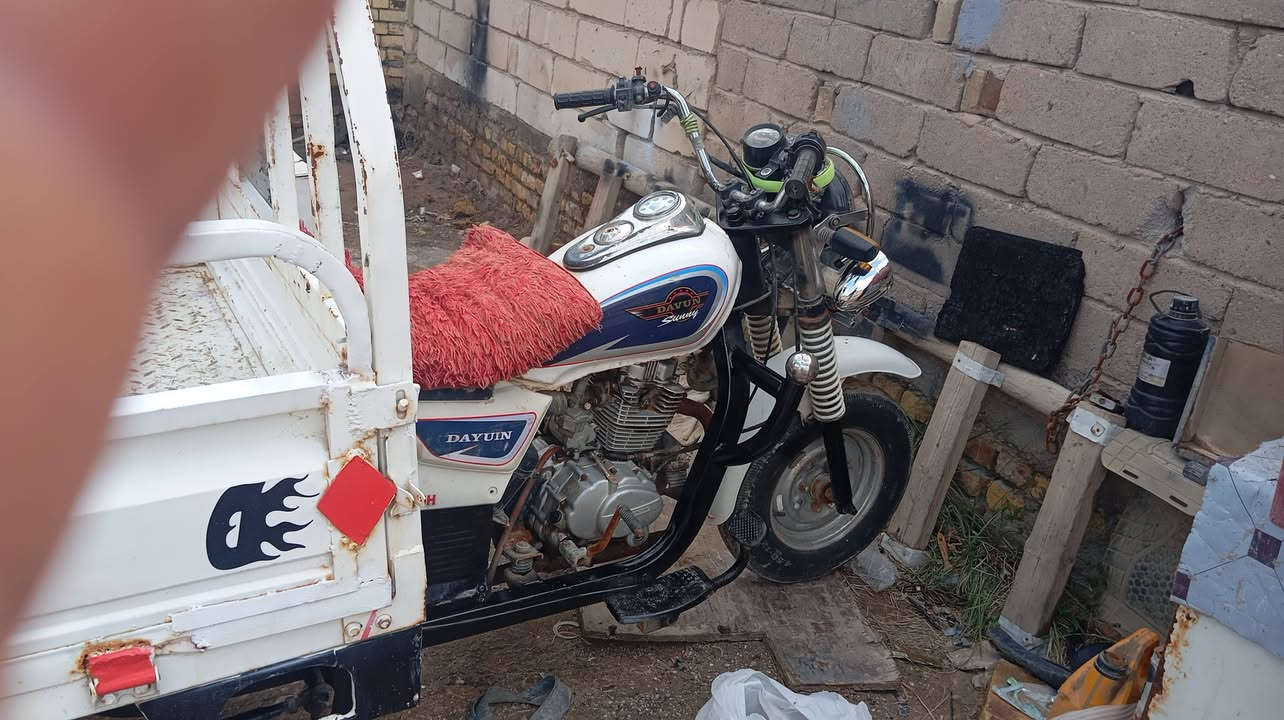 دايون مديل 14أوراق ستنساخ مكفوله ركبته ستوته نكره سلف سعره مليون 100وبيه مجال مكاني ناصريه مركز 
***********
