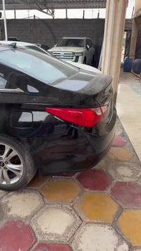 سوناته • ٢٠١٣ • وارد امريكي