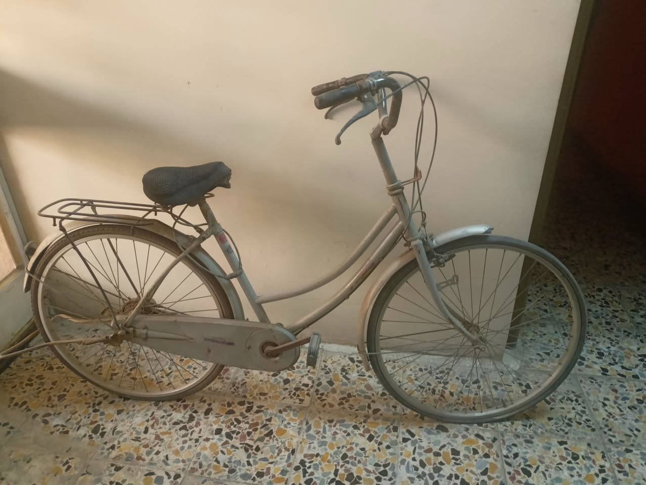 بايسكل اللبيع سعر 100


**إذا كنت صاحب هذا الإعلان وتريد حذفه لأي سبب، رجاءا أرسل رسالة إلى الدعم الفني**