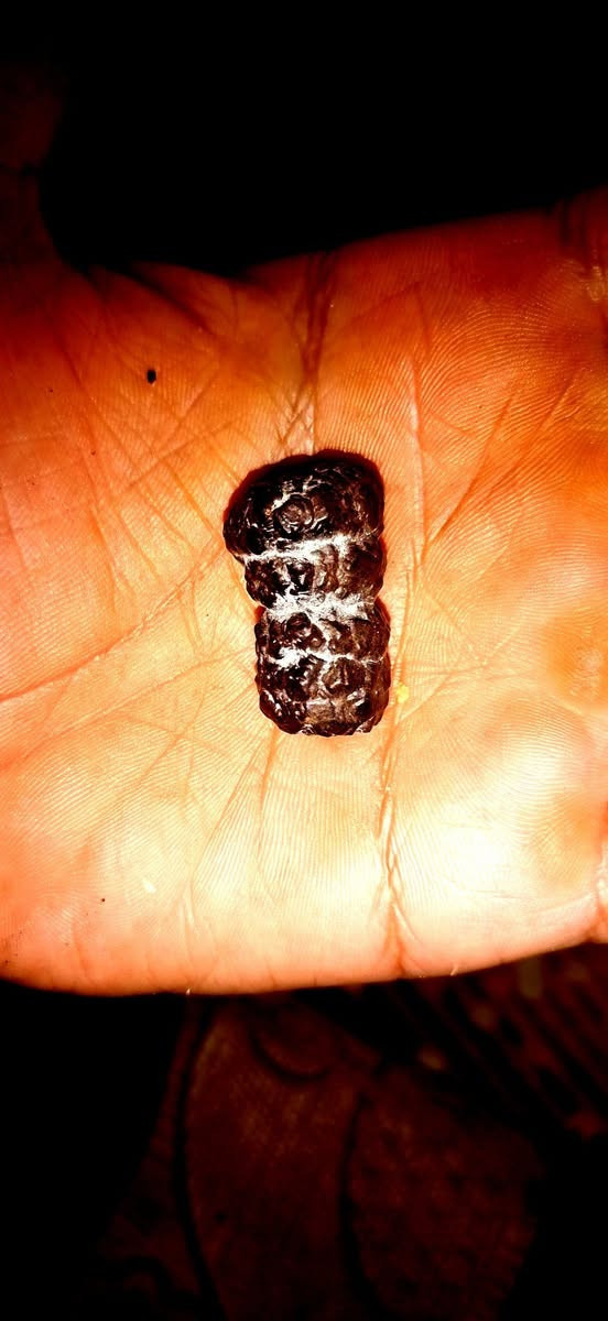 عرگ  هبهاب  مغربي مصور  الاصلي قطعة نوادر مفولة تفول الصورة تحكم    مال ملوك قطعة شرط اصلي ومشروطة شغل فول  جلب محبة طاعة جاه وجه تسهيل امور عقد لسان قوي


**إذا كنت صاحب هذا الإعلان وتريد حذفه لأي سبب، رجاءا أرسل رسالة إلى الدعم الفني**