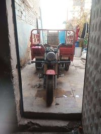 ستوته دايوان • موديل 14 • اوراق كاملة