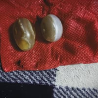 سلماني • للبيع • تفاصيل بالخاص