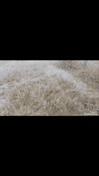 فاضل الغانمي • ٣ دوانم • طابو زراعي