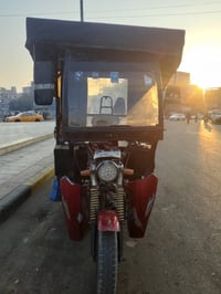 ستوته • دايون 2014 • أوراق صولي