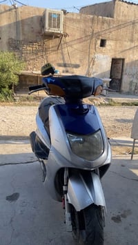 سكنس نثيه • نشطه • دبلات
