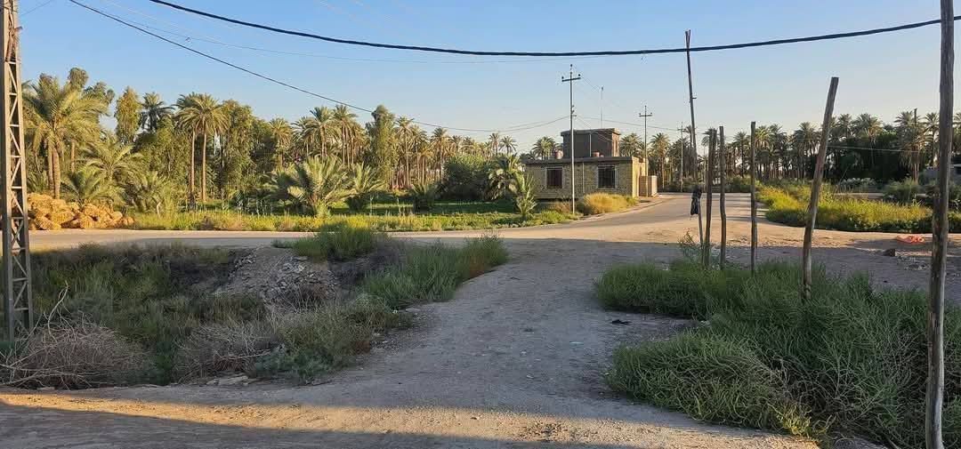 دونم الا 300 متر طابو 25 سند تحويل اسهم باسمك في كربلاء شارع ام ام البنين منطقه طنوبه كافه الخدمات مدرسه متوسطه ابتدائيه مدرسه الثاني ماله العباس مباشره عالشارع للمعلومات اتصال/*********** /***********
