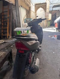 للبيع ثعلب بيهة تلحيضات بصيطة السعر 450بيهة مجال حك الجية  07752301764...