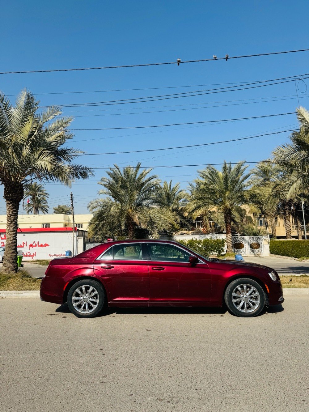 للبيع كرايسلر اوباما 
مديل 2016 لون كرزي شذرة 🍒
فول موصفات عدا البانوراما دخل جلد اسود بصمة صاج اسود ملكي ستيرن كامله مقاعد تحكم كهرباء ميموري خزن 
كير ماوس طيارة 8 نمره نضام AWD فور ويل مانع تزحلق كروس مثبت سرعة سستم سماعات Alpine تبريد قطعتين لايت زينون عدسه عالي ناصي ويل كروم قياس 18
بصمات العدد 2 و سبير و عده كامله منازله
محرك 3600 المسافة المقطوعة 88 ميل 
السيارة نضيفة جداً استخدام شخصي جاهزة من كلشي مابيها اي نقص و عليها ادامه كامله و نصبتها حلوة 
وارد كندي الضرر جالملغ خلفي ايسر و ربع الجنطة الخلفية بدون ايرباك و دواخل و بل عراق بيها صبغ جماليه اثر شخوط خمس قطع ابيع شبه احزام
السونار مرفق مع المشنور و صور حادث كندا 
رقم شمالي اربيل دولي تحويل مباشر 
السعر 190 و بي مجال 
العنوان بغداد السيدية
 للتواصل ***********