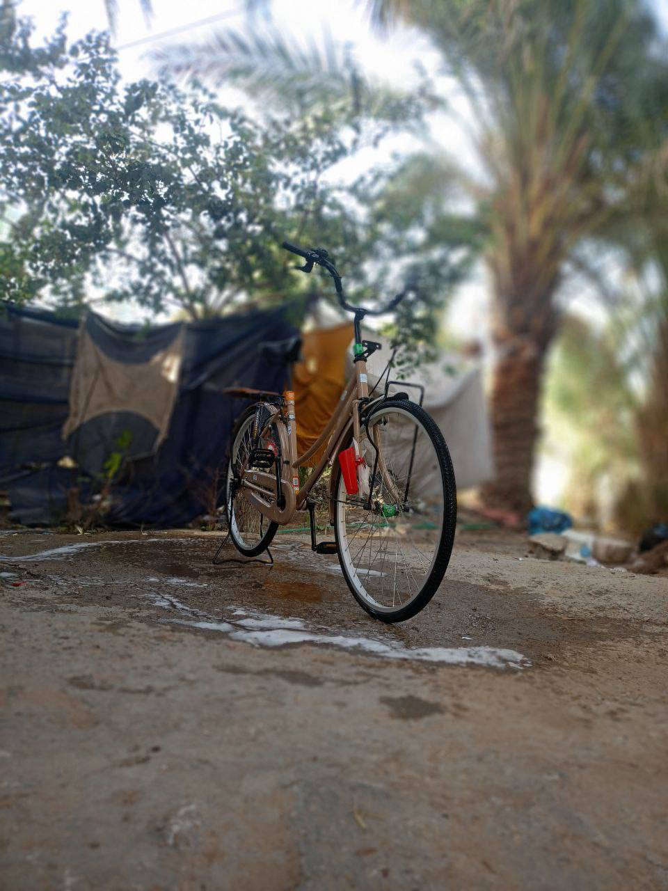 السلام عليكم باسكل BDلون صحراوي مميز 
 موديل 2022كفالة عامة ماصارلي هواي من امنزلة من كرار  ابو النقش للعلم الباسكل چان مخزن السعر خاص والشراي بي خير ويدلل مكاني كوفة منطقة ال عيسى


**إذا كنت صاحب هذا الإعلان وتريد حذفه لأي سبب، رجاءا أرسل رسالة إلى الدعم الفني**