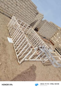 محجل • كيه ام • بعاج