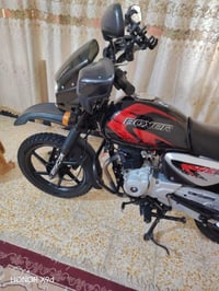 بوكسر جبلي • موديل ٢٣ • وكاله