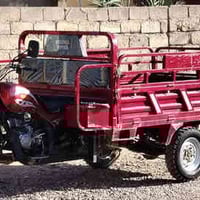 ستوتة اورجنال • موديل 2024 • قرية الجدعة