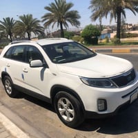 ٢٠١٥ • خليجي • ٧ راكب