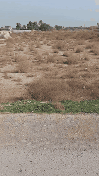 زملت حمدي • ٧٢٠م • ماء وكهرباء