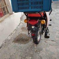 بوكسر • شرط الترقيم • الخالص