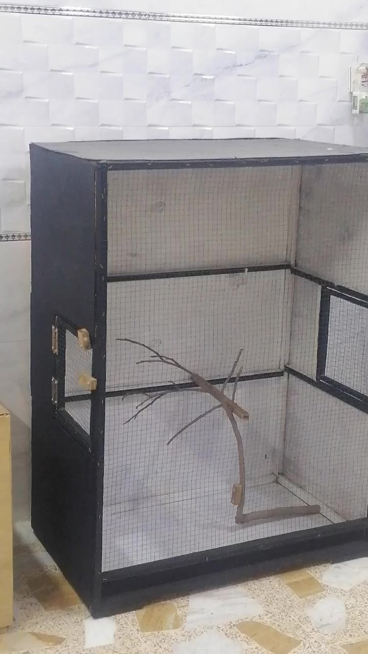 قفص بلابل للبيع
الابعاد الطول 80 سم 

العرض 60سم

الارتفاع 120

مكاني موصل الجانب الأيمن المطاحن

***********

السعر 25 وبي مجال
