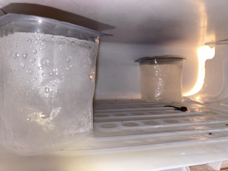 السلام عليكم، اخوان ثلاجة النخبة تستخدم للطابق الثاني او مكتب وحتى للبيت امانة الله ثلاجة ممتازة وتجميد فول واستخدمتها قليل واريد ابيعها لان راح اشيل من بيت اهلي اخذتها ب120 ورايدها ب90 هذا رقمي بي واتساب *********** عنواني وردية قرب علوة مخضر
