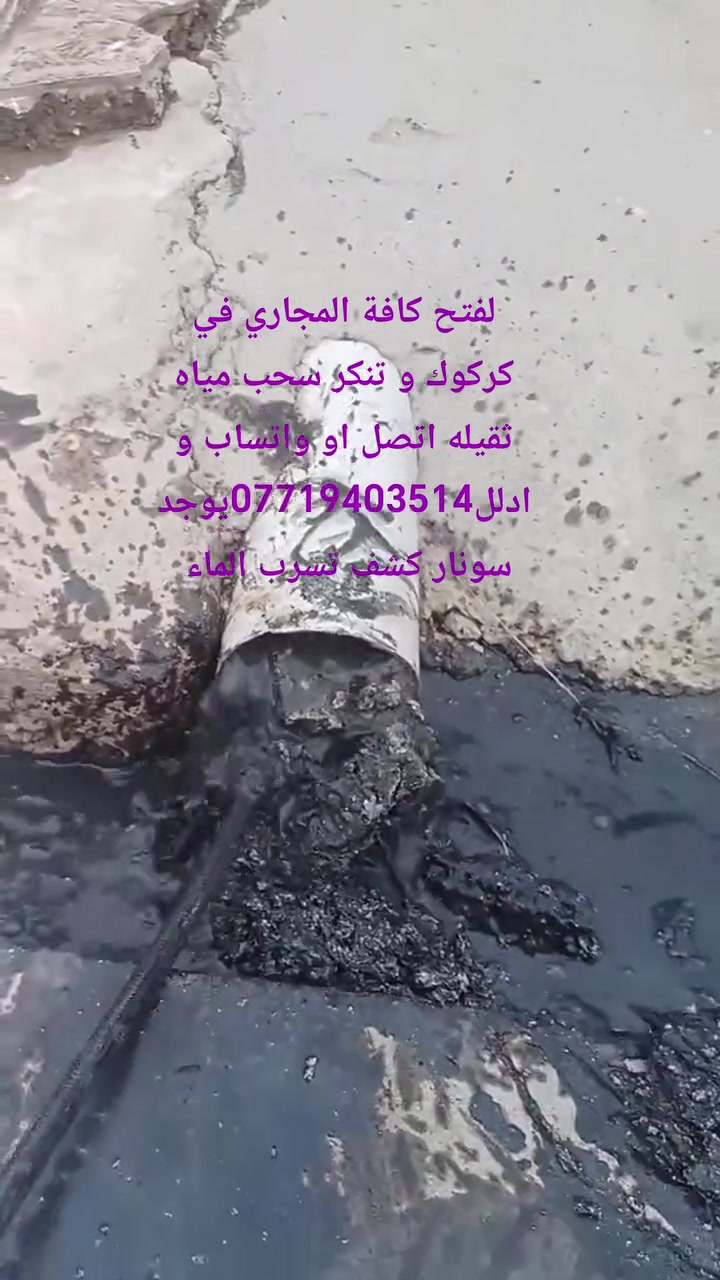 فتح مجاري في كركوك ***********واتساب 
صاروخيه فتح مجاري في كركوك ***********
تنكر سحب مياه ثقيله في كركوك 
سونار كشف تسرب الماء في كركوك 
سونار بوري مكسور في كركوك 
سونار بوري مكسور في كركوك 
سونار كشف تسرب الماء في كركوك فتح مجاري في كركوك و سونار كشف تسرب الماء 
تنكر مجاري في كركوك 
تنكر سحب مياه ثقيله في كركوك 
صاروخيه مجاري في كركوك 
فتح مجاريي داخل كركوك 
فاتح المجاري في كركوك  
ابو المجاري في كركوك  
تنكر سحب مياه ثقيلة في كركوك  
كركوك
