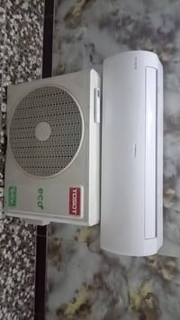 سبلت • جديد • طنين