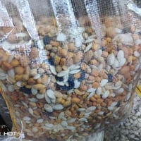 لاصحاب المحلات جملة ومفرد ...كرزات مشكلة نظيفة جدا الكيلو ب 4500 فقط ....