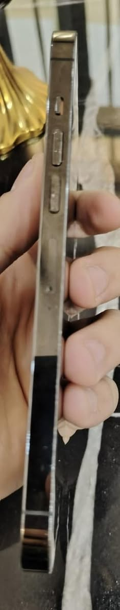 السلام عليكم اخوان 13pro max للبيع بطارية 85 جهاز وتر 512g أخذته يوم 9 ب شهر وصله موجود عندي هوه و شاحنه ويا سعره 700 قفللل بدون عملة جهاز صار عليه 775


**إذا كنت صاحب هذا الإعلان وتريد حذفه لأي سبب، رجاءا أرسل رسالة إلى الدعم الفني**