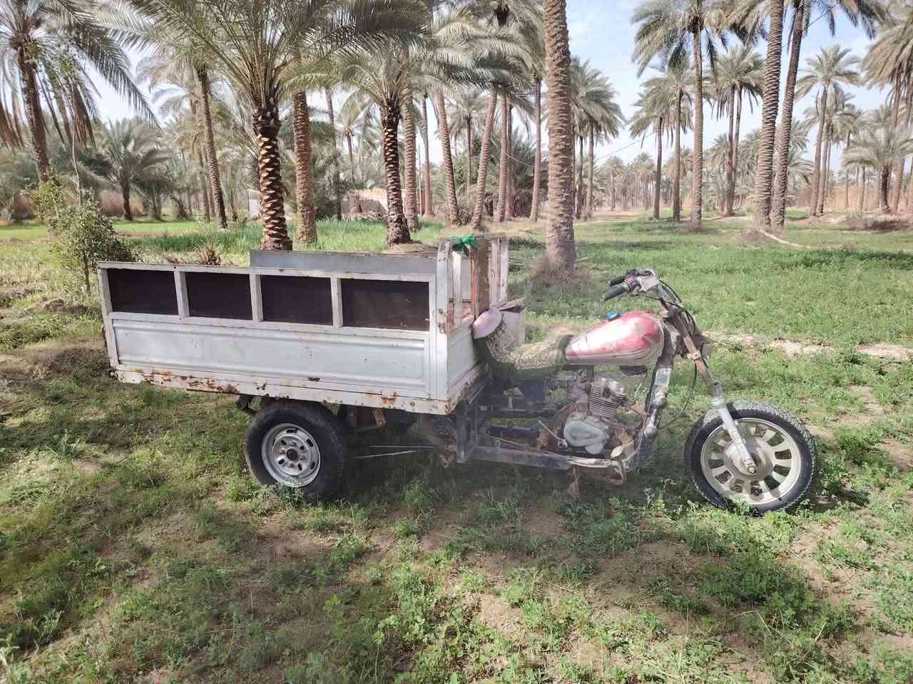 ستوتة ام تي ار كلك كلك للبيع اكسن جمرة مديل 25محرك نضيف لاتبخير ولا تنقيص بدي نضيف ستوتة مال جناي شلعة بيهة خير من الله ال مكان كربلاء طوريج فيادة السعر٧٠٠ وبيهة مجال الشراي الخاص مفتوح
.
.
.
.
ملاحظة المو شراي لي يكسر بحلال العالم


**إذا كنت صاحب هذا الإعلان وتريد حذفه لأي سبب، رجاءا أرسل رسالة إلى الدعم الفني**