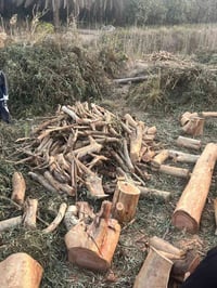 حطب للبيع 07815378541