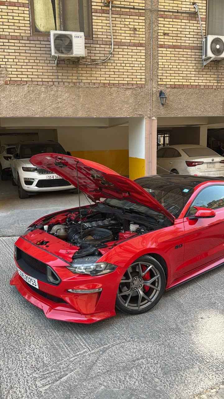 موستنك 2020 GT بريميوم تراك بكج فوولل 1/1
مكينه (8سلندر) 5000cc

كير اوتو (10)نمر

ماشيه(21 الف)ميل

مكان (بغداد-الحارثيه)

لون (احمر طماطه مميز)

رقم تلفون (***********)

السعر (230 ورقه)

رقم بغداد الجديد فحص هزة جديد وسنويه باسمي تحويل ثاني يوم يعني ما تحير بصوت اكزوز لو وشومات لن هزة جديده

سياره حادثها بنيد وجاملغ فقط (بنيد نصه مصبوغ فقط نصه)+ (جاملغ مبدل لون) قطعه وحده صبغ 
وصور حادث بل منشور

وساحب تقرير  كار فاكس مالتها  بفلوس ايضاً ما بيها اي حادث مسبق ب امريكا او غرق الي يحب راسلني واتس ادزهله تقرير

رقم الشاصي (1FA6P8CF2L5108895)

سياره كير مكينه اكسل كاردن صدرها بحالة الوكالة برغي ما مفتوح بيها بجم كبس البراكيته اماميه حتى ضربه مواصلتها

سياره من دخلت حد الان مسويلها ادامة وصيانه كامله بشركة  فورد القاصد دهن  وفلتر دهن و فلاتر شوته و تبريد كلة وكالة اصلي

دشبولها ماكو اي كلوب معتلك كله صافي

نجي على مواصفات فول 1/1

١- دجتال

١- تشغيل عن بعد

٢- شاشة كبيرة sync 3 كار بلي

٣-اكتف اكزوز حسب المود تفتح بوابات(نورمال-سبورت-تراك)

٤-فجوج بريمبو 6بستم

٥-عداد ديجتال يتغير ثيم حسب المود

٦-دمام صوت بل صندوك وكالة

٧-تحديد مسار

٨-رادار امامي

٩-رادار جانبي(نقطة عمياء)

١٠-رادار خلفي

١١-حساسات خلفيه

١٢-كامرة خلفيه

١٥-ستيرن تدفئه هيتر

١٦-خمس وضعيات قياده(نورمال-سبورت-تراك)

١٧-ترحيب بل مرايه

١٨-هيترات بل مرايه

٢٠-سستم سماعات

٢١-لايت زنون ابيض من وكالة

٢٢-شعار الموستنك ضوئي من الابواب بلادي

٢٣-شعار موستنك ضوئي متغير بل دوسات بلادي

٢٤-كيجات تراك بكج (اويل برشر) و( فاكيوم) بل دشبول

٢٥-كشنات جلد

26-سترس بار فوك مكينه من وكالة

٢٧- كشنات تدفئه وتبريد

٢٨- خزن ميموري

اضافات عليها

١- تخم تايرات تويو سيمي سلك (٥ورقات)

١- هدرز (ب١٢ورقه)

١- دبات كورسا اكس تريم اكتف بلادي (ب20ورقه)

٢- لايتات اماميه مال موديل ٢٤ وبيها متغير لد بل تلفون اي لون يعجبك (ب٩ ورقات)

٣- بك لايت سموك اصلي وبيها لد متغير اي لون يعجبك يتغير (8ورقات)

٤- الداخل كله مشتغله لدات ترحيب (ب250دولار)

٥-ويل pp1 اصلي مال كصة (10ورقات)

٦-لويات ايباخ الاحمره (ب300دولار)

٧-ولف حماوه مشميتو (١٢٠ دولار)

٨-اكس بايب+ اج بايب

٩-لحية ار تي ار (١٠٠ دولار)

١٠-دوسات جانبيه ام زعنفه (١٠٠دولار)

١١-سكوب جامه خلفيه (٨٠دولار)

١٢-شفتات ستيرن (٣٥الف)

١٣-وشم قماره وتضليل (ب١٠٠دولار)

١٤-صبغ فجوج ولحاية ويل (١٢٠دولار) صبغ حراري اصلي

١٥- تفريغ اكزوز ودوان بايب واكس بايب و لحيم اصلي يم علي وادي اركون من طول لل طول استيل حتى مقاومة للصداء وبوري اعرض (٥٠٠دولار) صوته مخيف

١٦-برمجة سيف تيتو  برمجة سيفتي قطرة دوانز ماكو تستقبل بانزين محسن (٣٠٠دولار)

١٧-شفقه خلفيه على جامه خلفيه( ١٠٠دولار)

١٨-كفرات مري باتمان

١٩-لد سموك بل دعاميه خلفية وجانبيه وبيها لد متغير لون يعجبك يتغير  (ب٥٠ دولار) 

٢٠- بولش ونانو سيراميك يم NVN (ب٢٥٠ دولار)

سياره ربع دينار ما بيها مصرف كامله من اي صرف
