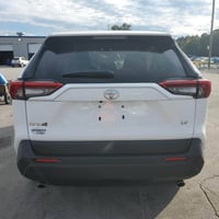 راف فور • ٢٠٢٥ • بدون صبغ