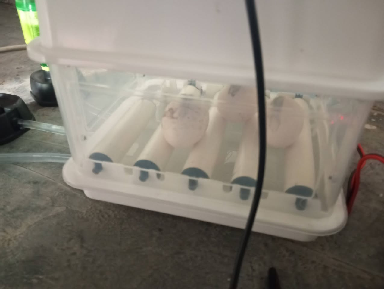 فقاسه 15بيضه للبيع تقليب حراره رطوبة  اوتوماتيك بيها عاكسه وباتري وبيها ضمان


**إذا كنت صاحب هذا الإعلان وتريد حذفه لأي سبب، رجاءا أرسل رسالة إلى الدعم الفني**