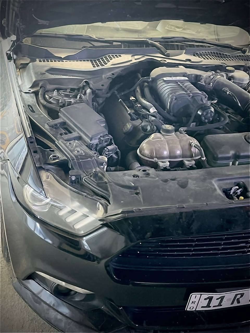 السلام عليكم
موستنك روش موديل 15 
ماشيه 45mil جديد وحيل معتني بيها 
حادث جاملغ امامي جهة سايق + جاملغ خلفي عكس سايق 
السياره غنيه عن التعريف فول مواصفات 
راح اذكر فقط التزويد 
شاشه عداد دجتل مال بوليت
شاشه ساين 3 ابل كار بلي + اندرويد اوتو
بك لايت سموك اصلي  
راديتر مشيموتو 
ولف ريسنك 
منضومه ميثانول 
فلكس فيول 
هدرز لونك تيوب 
شوته 
نوزلات 
برمجه طلال سيفتي 

موقع السياره بغداد السيدية 
تحويل ثاني يوم هزة جديده 
سعر 200 ورقه وبيها مجال شي بسيط 
***********
