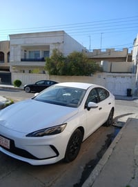 بي واي دي • ٢٠٢٥ • ٦٠٠ كم