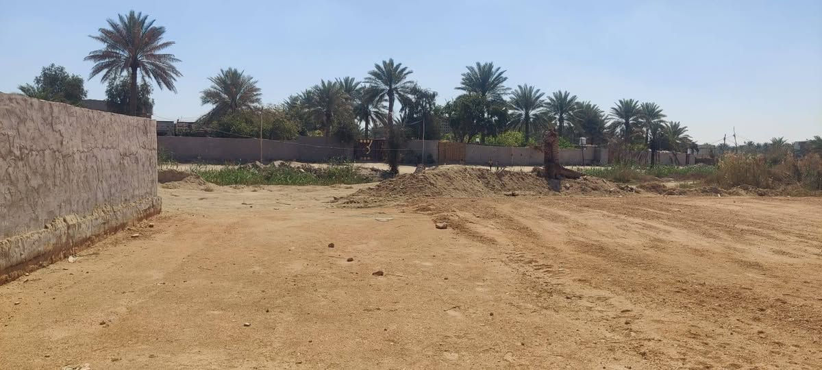 قطعه أرض للبيع المساحه 500 متر تحتوي على هيكل 250متر خريطه حديثه طابو زراعي سند 25 تقع على شارعين في حي الإمام علي الأكبر او شارع الفلل على نهر الهنديه يبعد عن الشارع الحولي 600متر سند ٢٥ طابو زراعي علما تقع على شارعين في شارع عشره متر وشارع الثاني ٣٠ متر حولي للاستفسار الاتصال على الرقم *********** السعر 325 وبيه مجال ترهم مراوس وترهم بيع
