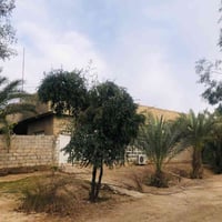 عقار للإيجار • وصف ناقص