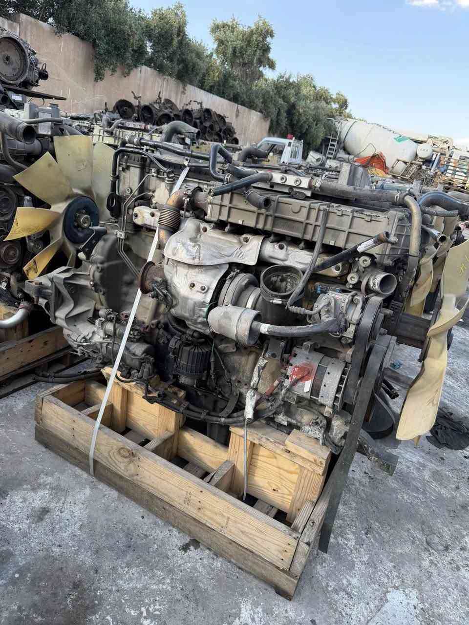 الحمدالله وصل وحش وارد كندي 
حجم 471 473. 472 
العنوان اربيل صناعه الشمالي كراج 
محمد حجي سمير كركوكي 
للاستفسار اتصل على الرقم 
009647503130750
009647701326202

Praise be to God, a Canadian-imported beast has arrived.
Sizes 471, 473, and 472.
Address: Erbil, North Industrial Area, Garage.
Mohammed Haji Samir Kirkuki
For inquiries, please call:
009647503130750
009647701326202


**إذا كنت صاحب هذا الإعلان وتريد حذفه لأي سبب، رجاءا أرسل رسالة إلى الدعم الفني**