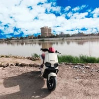 ريان • موديل ٢٠٢٦ • الحجم الكبير