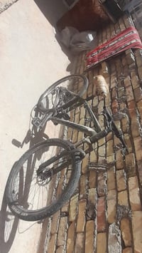 باسكل • جبلي • بغداد