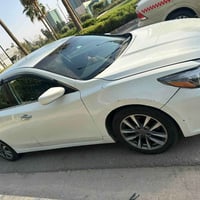 التيما • ٢٠١٨ • أربيل