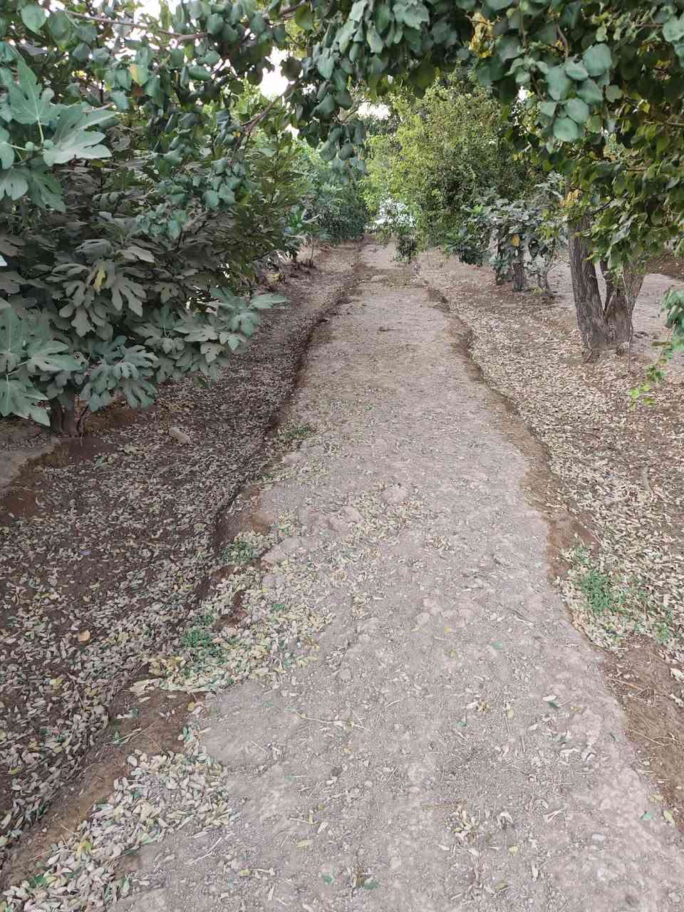 بــــــــــاخ  هـــــــــــات  فـــــــــــــەریـای کـــــــــەوە 🏃🏃
🎯نڕخی زۆر گونجاوە👉 بـــــلاش بــــــــلاش🙋🙋
🏦ئەم باخە بۆ فرۆشتن لە صالح ئاغا نزیک فەلکە
ئە گەر بێزاری لە جنجاڵی شار وەرە ئەم باخە جوانم بۆ هئناوی مالی سەفرەو سەیرانە🪴🪴
♦ئەم باخە زۆر جایزە   🥷🥷
هەمیشە نووسینگەی صالح ئاغامحمد پێشنگە لە ماڵی
 جوانوو هەرزان 
تێبینی . هیچ نووسینگەیک پۆستی نەکات لەگەڵ رێزم 

🔹رووی.خـۆری بـەیـانـی 3 دەقـە لـە جـادوە دوورە🙋
♠ڕوبەری 1دۆنموو چوار گۆشە
🔸ئاوی بیری تیایە ئەرکەوازی 
کامل سیاجە
ئەم باخە  کۆلانی پانە 
🔹 جئگای خانوویکی دیکەی تیایە 
♠500 داری بەرداری تێدایە
♦مەوقعێکی زۆر جوانی هەیە
♦دراوسێ زۆر چاکە
♦ماڵی دۆســـــتـــــــە
♦بۆ زانینی نرخ خاڵێک لە کۆمێنت دانێن
♦ئەم  باخ مقالەو جئگای نانخواردای جوانی بۆ کراوە
🔶 مطــــــــــــــــــبخ 🫖🍽️
♦ ژوری نوستن
🔶 مشتەمــــــــەلات 🛁🚿 کاشی
♦حــمــام سـەرئـاو‌🪟کاشی

🌸🌸🌹🌹🌸🌸🌹🌹🌸🌸🌹🌹🌸🌸🌹🌹🌸🌸***********
🔴بۆزانیاری زیاتر پەیوەندی📲بکەن بە
💮📳نوسینگەی # صالح ئاغا محمد
🍁🍁🍁🍁🍁🍁🍁🍁🍁🍁🍁🍁🍁🍁🍁
***********
👇لایکی پەیجە کەبـکەن بــەرک نە بێت👇

#‌‌_ئێوەی بەڕێزیش گەر موڵکتان هەیە دەتانەوێ بیفرۆشن
یان دەتانەوێ بەکرێی بدەن ئەوا دەتوانن تەواوی زانیاریەکان
#_ناونیشانی تەواوی موڵکەکەت،
#_چەن وێنەیەکی موڵکەکەت،
#_نرخی گونجاوی موڵکەکەت،
#بنێرن_بۆ_پەیجەکەمان

                                          🌹🌹🌹🌹🌹🌹🌹🌹🌹🌹ەر       
🌹☎***********☎🌹🌹واتس ئاپ
 نووسینگەی صالح ئاغامحمد🙋🙋🙋
