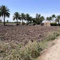 /بغداد اليوسفيه للبيع دونمين طابو زراعي سند 25 خدمات كامله مي وكهرباء ...