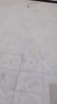 دار للبيع • البكرلي الرابعة • ٢٥٠م