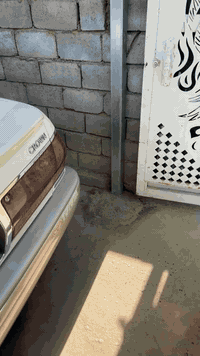 ٢٠٠١ • شاصي ٧١ • دكمتين باسمي