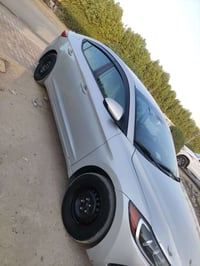 النترا ٢٠١٧ • بدون صبغ • بابل جبله