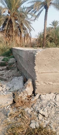 بالويرسي زراعي • ٣٠٠م • بناء ٢٤٠م