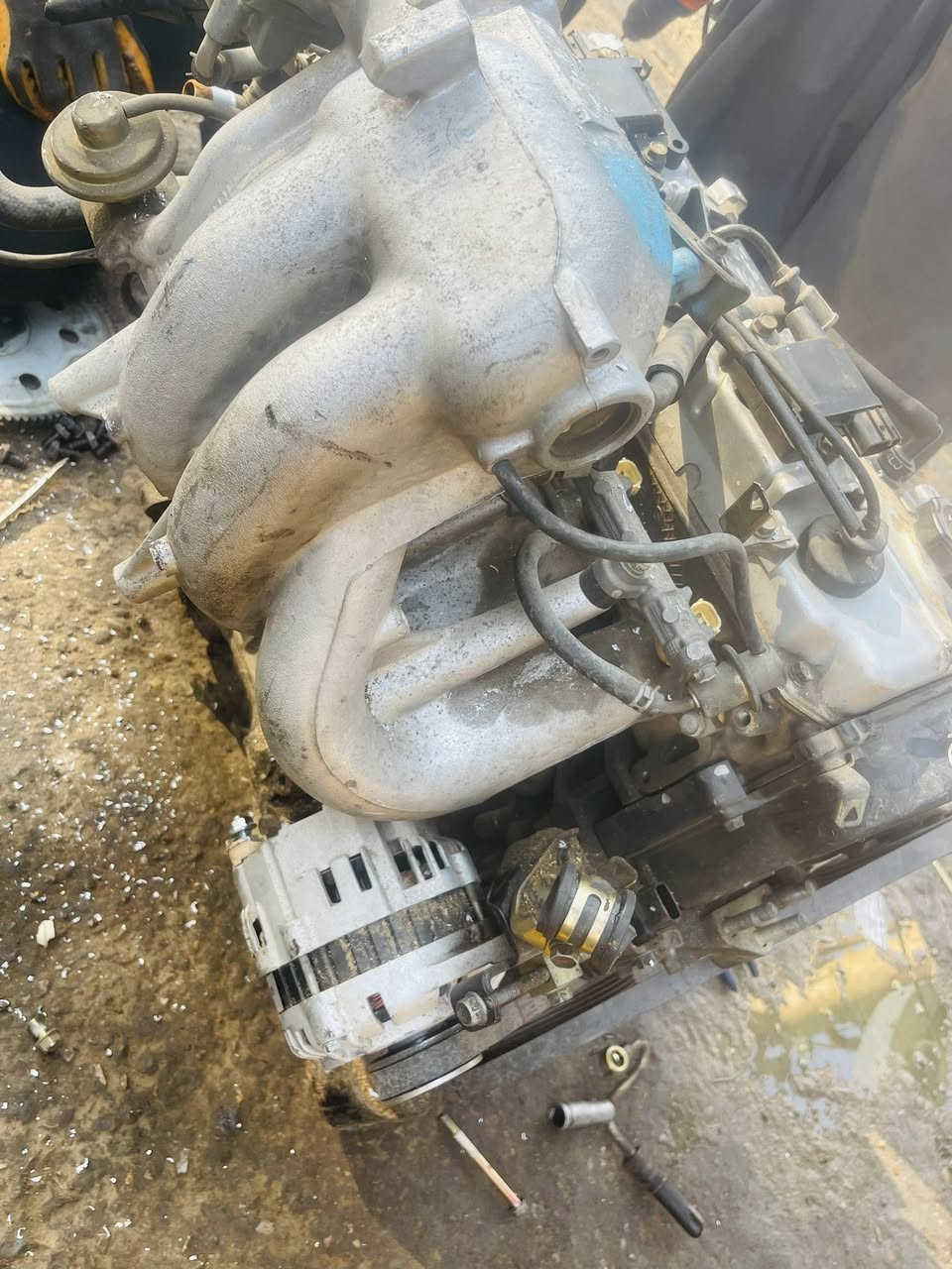 بسم الله والصلاة والسلام على رسولنا محمد  .

شلونكم شخباركم 
شرفني أليوم أخوية وصديقي من محافظتي ألحبيبة
قمنا بأستبدال محركهُ سعتهُ 2000CC
ومثل ما موضح أمامكم جودة ونظافة ألمحرك مع ضمان 10 أيام من يوم أستلام ألسيارة ، أن شاء الله أكون عند حُسن ظنكم .

تحياتي لكم خدمات داوود  قطع غيار السيارات لانسر بومه +قرش+سمكره+صبغ عام +تعديل 🚖🚖

العنوان بعقوبة حي المعلمين مقابيل مطعم جنه بغداد. 

📞 ***********
@الجميع
