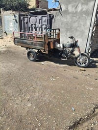 ستوته • باتري جديد • الفهود المجري