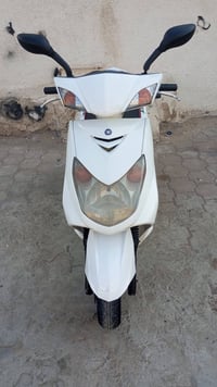 سكنس فحل • جاهزه • شغاله